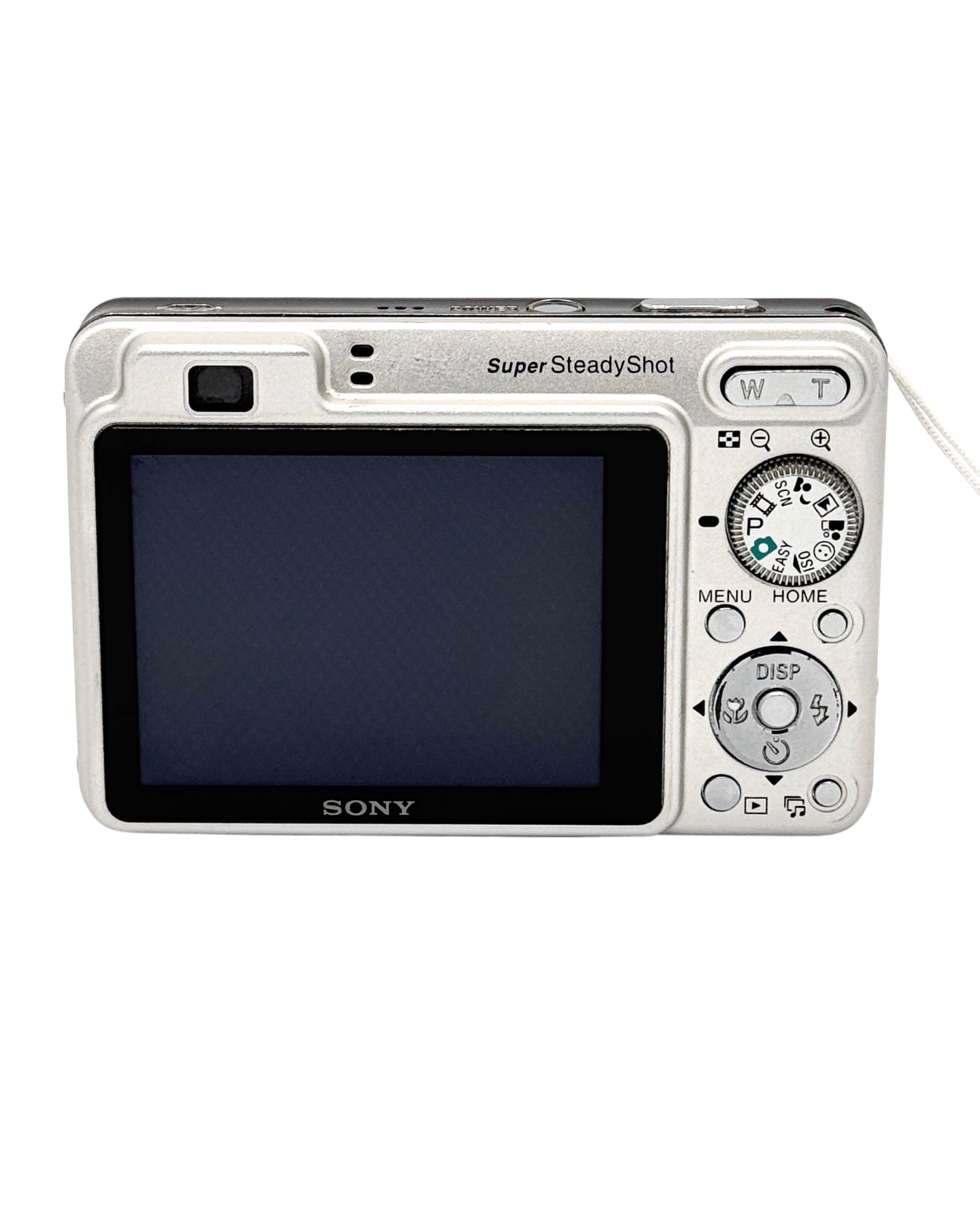 Sony Cybershot DSC-W110 Digital Camera