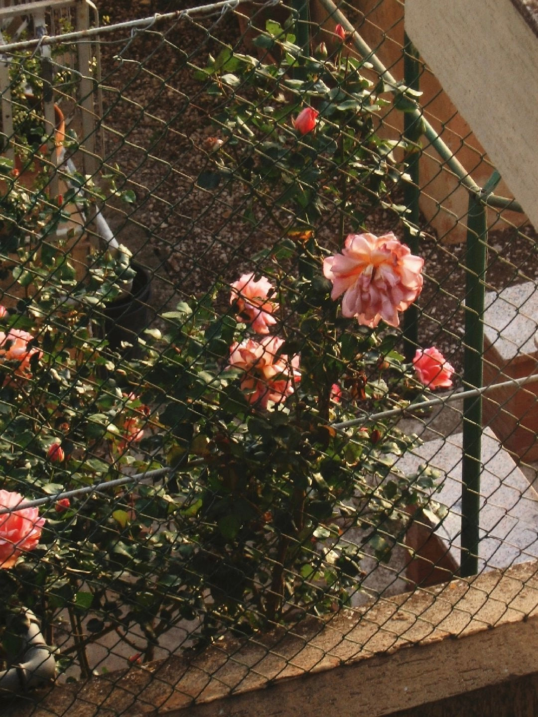 Canon Powershot A410