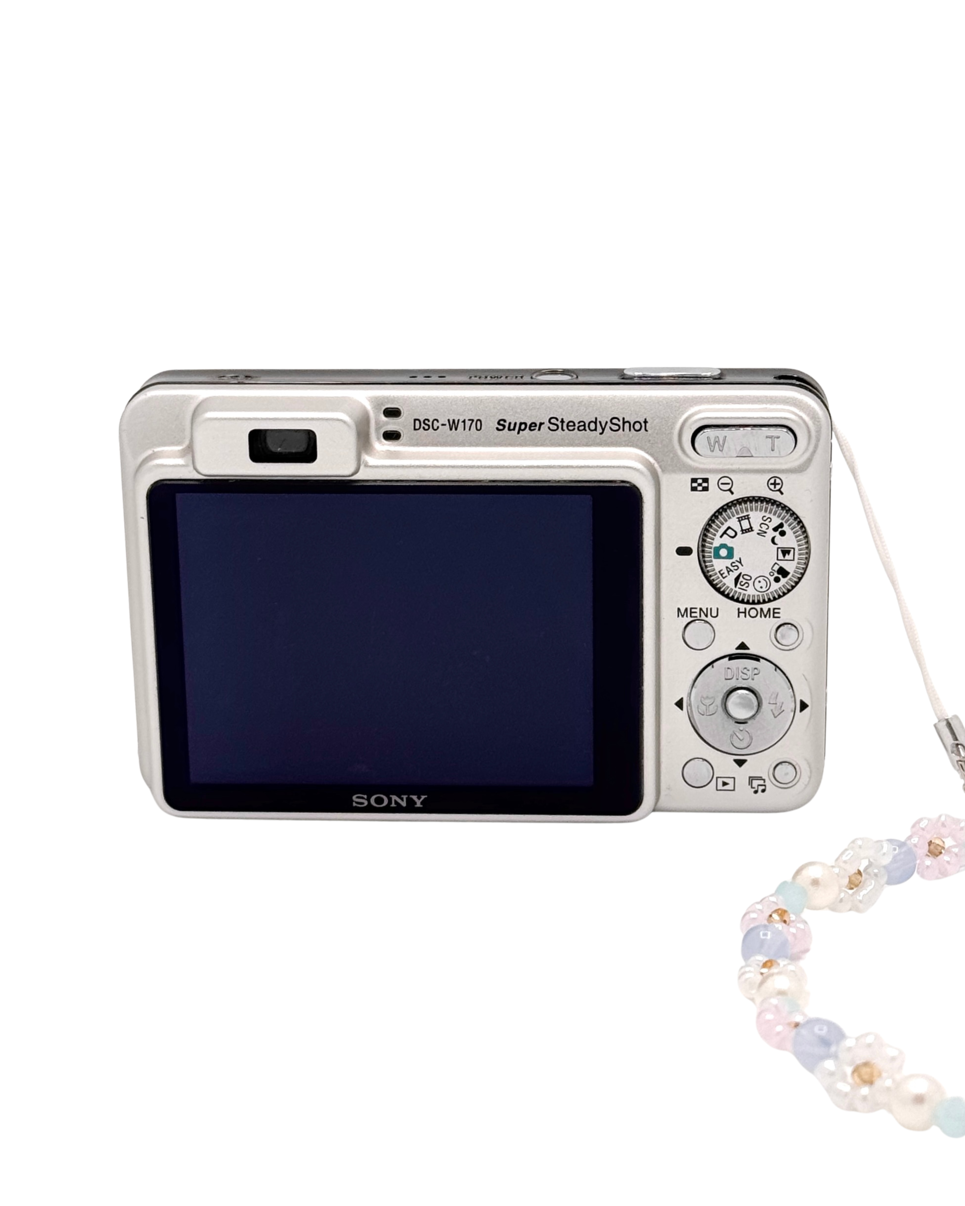 Sony Cybershot DSC-W170 Digital Camera