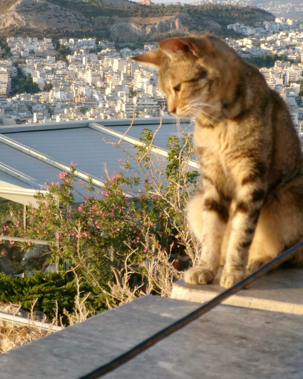 Kodak PixPro FZ-101 Digital Camera