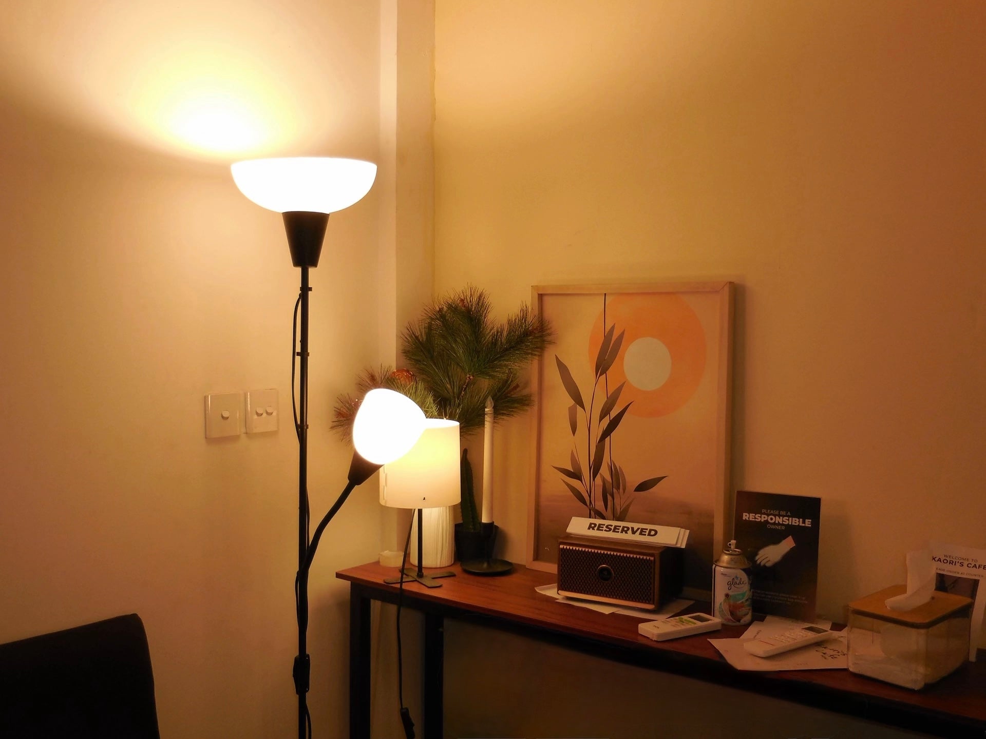 Nikon Coolpix S6600 Digital Camera