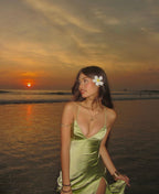 Canon Powershot SX230HS